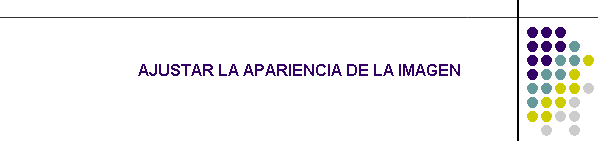AJUSTAR LA APARIENCIA DE LA IMAGEN