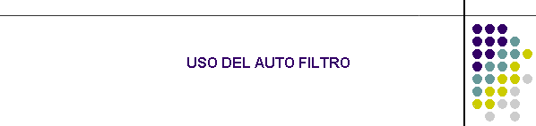 USO DEL AUTO FILTRO