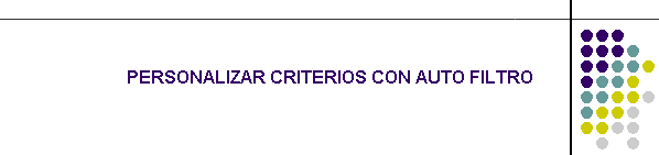 PERSONALIZAR CRITERIOS CON AUTO FILTRO