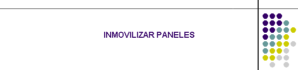 INMOVILIZAR PANELES